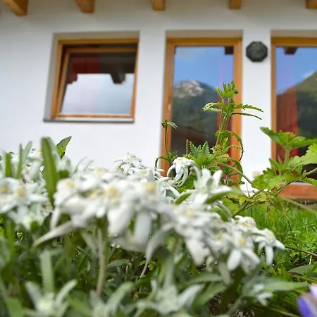 Alexandra Alber Schlosskopf 3* Санкт-Антон-ам-Арльберг