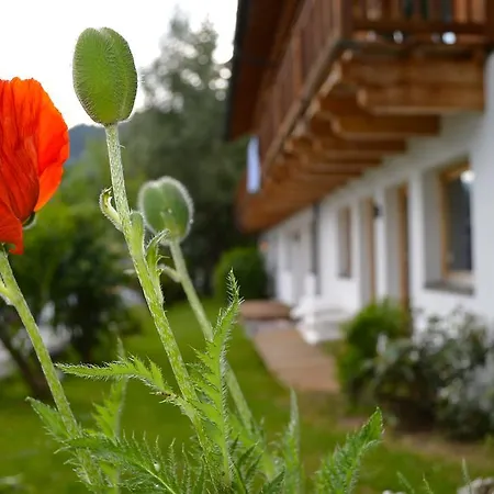 Guest house Alexandra Alber Schlosskopf